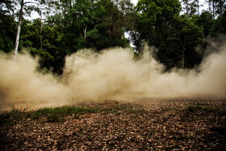 WRC Rally Australia