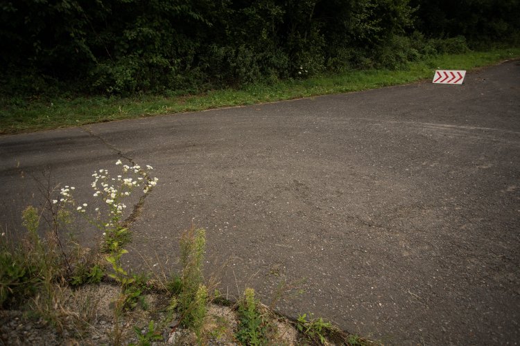 WRC Rallye Deutschland